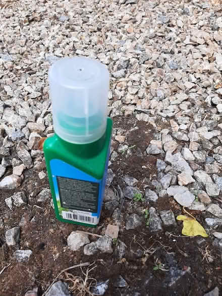 Photo of free Bonsai potting soil & liquid feed (Delgany) #4