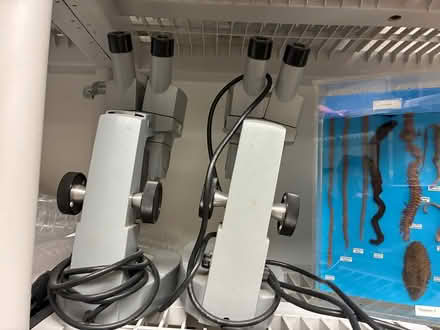 Photo of free Microscopes (1055 Ellis St., San Francisco) #2