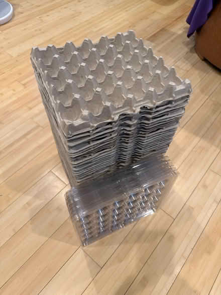 Photo of free egg crates with cover (Fair Lawn, NJ) #4