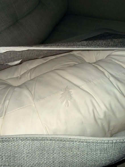 Photo of free Pre-loved: Duck Feather Sofa with Solid Oak Frame (Barons Court W14) #2