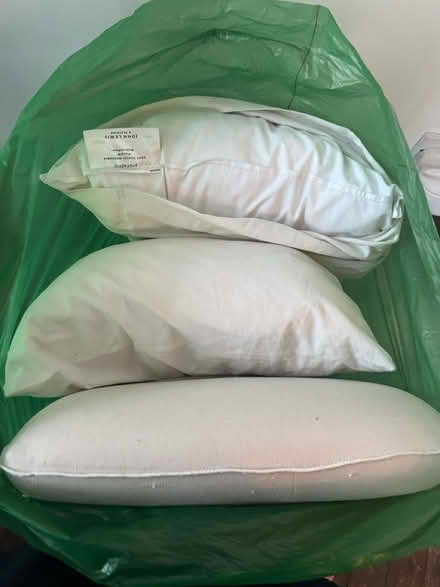 Photo of free Good condition pillows (N4 Manor House) #1