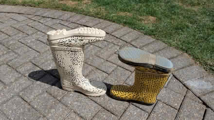 Photo of free Kids wellies size 1 and 3 (Newport Pagnell, MK16) #1