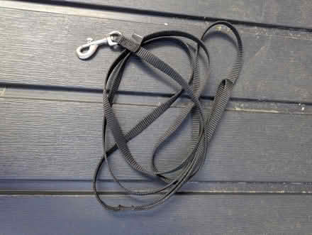 Photo of free Puppy lead (Cromford DE4) #1