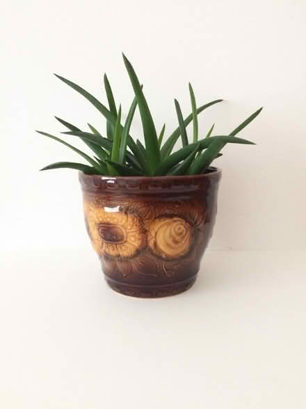 Photo of Old Ceramic Decorative Plant Pots (IP4) #1