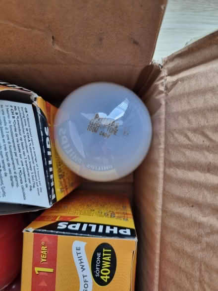 Photo of free Traditional light bulbs bayonet (Near Lowther Gardens FY8) #3