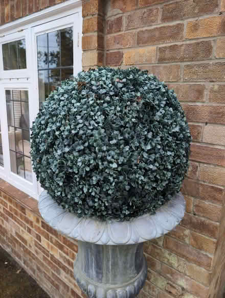 Photo of free Various size Topiary balls (Wickham PO17) #1
