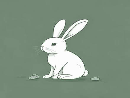 Photo of Rabbit treats (Nash Mills WD4) #1