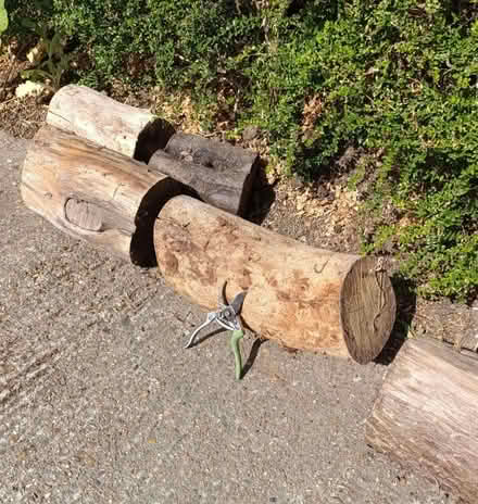 Photo of free log sections...wood for burner-well seasoned.....in Burnham (Eves Corner CM0) #1
