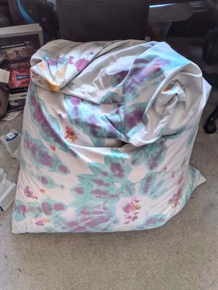 Photo of free Large Bean Bag (Rowditch DE22) #1