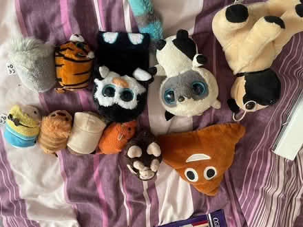 Photo of free Teddies (Hersham KT12) #1