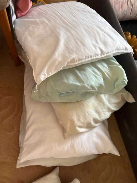 Photo of free Pillows (Bordon) #1