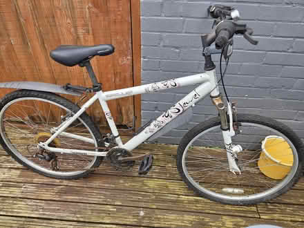 Photo of free White mountain bike (South Ascot SL5) #1
