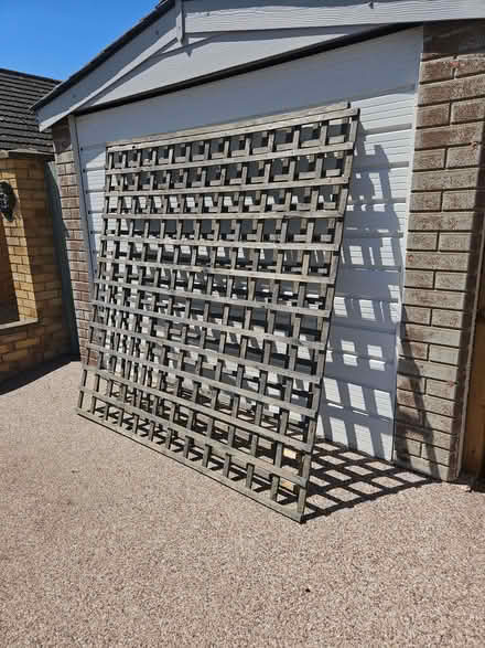 Photo of free 6' Garden Trellis (Heacham PE31) #1