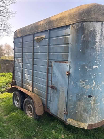 Photo of Horse trailer (Fareham PO14) #1
