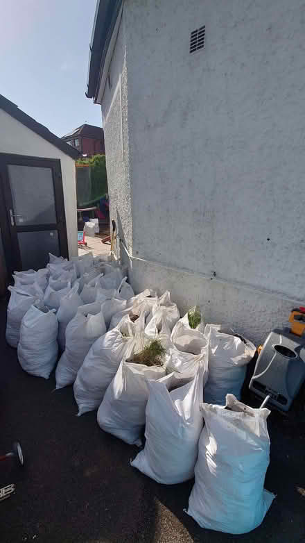 Photo of free Top soil (Ballyaghagan BT15) #1