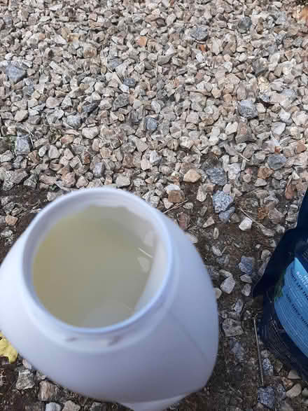 Photo of free Almac washing detergent non bio (Delgany) #3