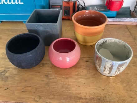 Photo of free Houseplants pots (Whitton IP1) #1