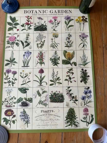Photo of free Botanic garden poster/picture (Cheltenham) #1