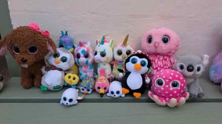 Photo of free Ty Beanie Babies Various (Newport Pagnell, MK16) #1