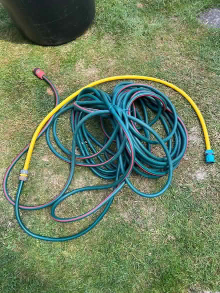 Photo of free Hose (Dorking RH4) #1