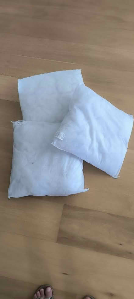 Photo of free Cushion pads (Beckenham) #1