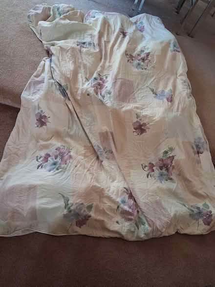Photo of free Comforter (El Sobrante) #1