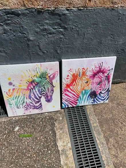 Photo of free Diamond Art Pictures (Exmouth EX8) #1