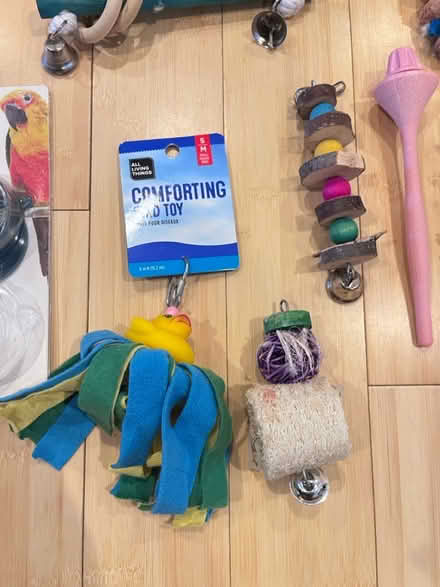 Photo of free parakeet accessories (Fair Lawn, NJ) #3