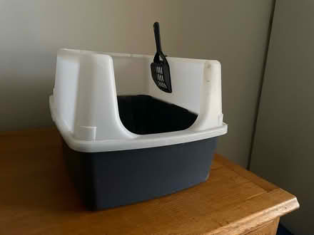 Photo of free Cat Litter Box (Brockley SE4) #1
