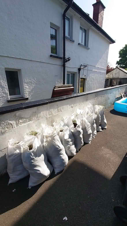 Photo of free Top soil (Ballyaghagan BT15) #2