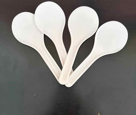 Photo of free Rice Paddles (Upper East Side) #1