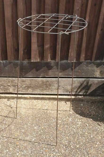 Photo of free Metal Plant Support (Prestwood HP16) #1