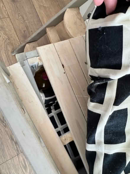 Photo of free Dog bed (Garston L19) #3