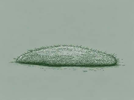 Photo of Artificial grass offcuts 4 foot by 2 minimum (Minster CT12) #1