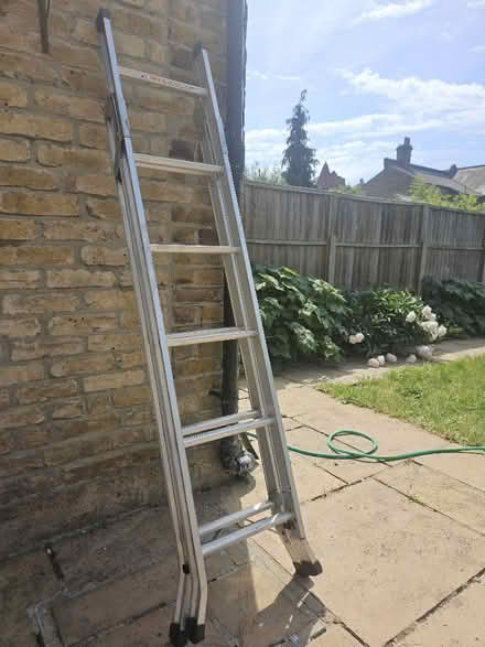 Photo of free 2 part extendable ladder (East Sheen SW14) #1
