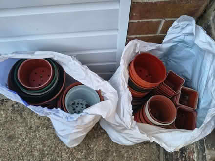 Photo of free Plastic plant pots (Gossops Green RH11) #2