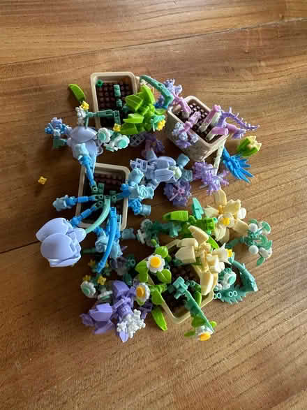 Photo of free Lego Flowers (Nailsworth GL6) #1