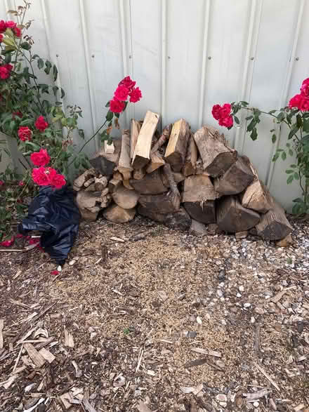 Photo of free Seasoned logs (Cliffsend) #1