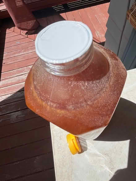 Photo of free Kirkland wildflower honey (Midtown Sacramento) #2