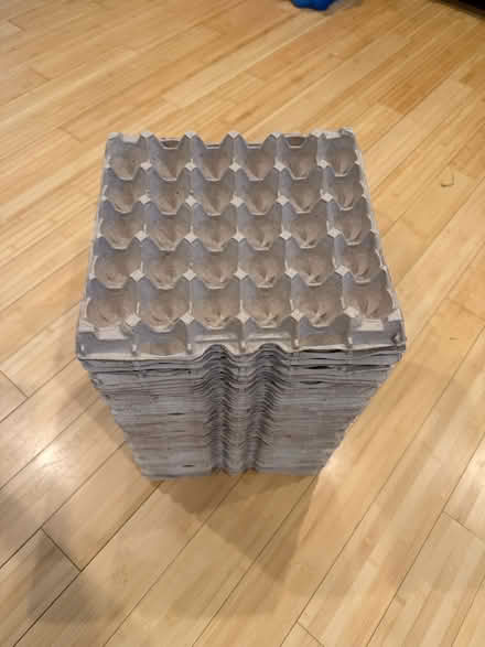 Photo of free egg crates with cover (Fair Lawn, NJ) #3