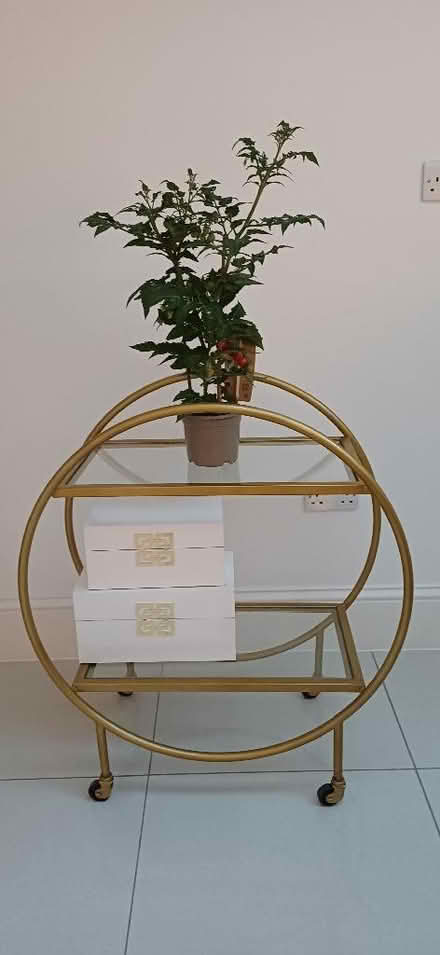 Photo of free Gold Display Trolley (Hiltingbury SO53) #1