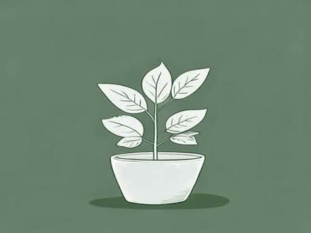 Photo of Indoor house plant (Barton OX3) #1