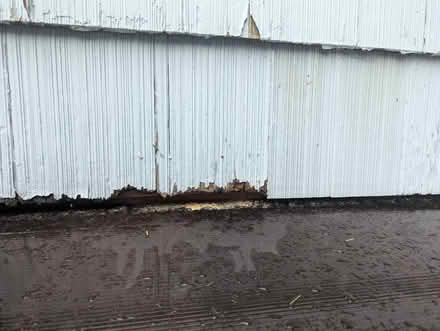 Photo of Cedar shingle siding (Esperance) #1