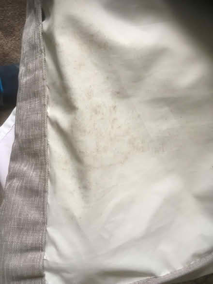 Photo of free Long Curtains for french windows (Edinburgh South EH9) #3