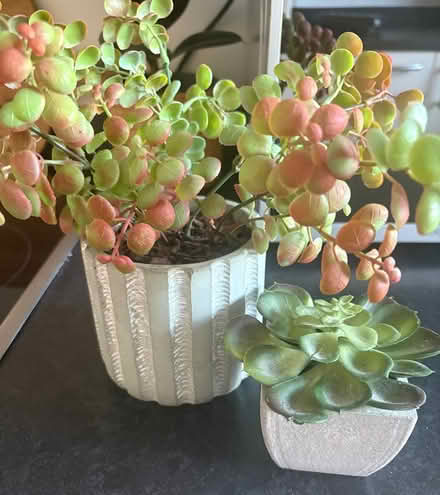 Photo of free 2 x fake plants (CM1 Broomfield) #1