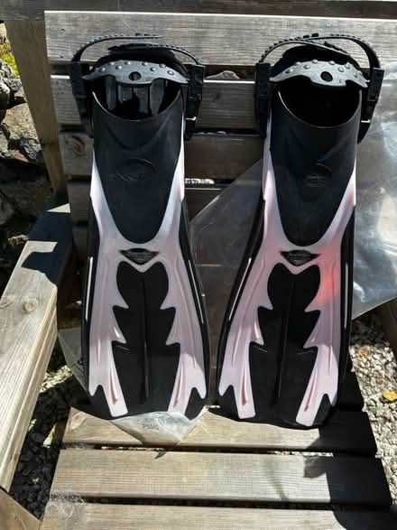 Photo of free Lady’s flippers (St Day. Crofthandy) #1