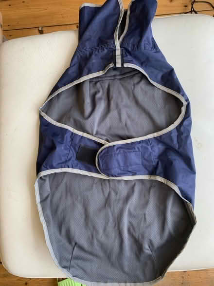 Photo of free Dog coat (M32) #2