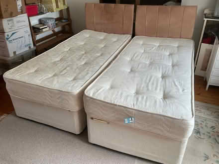 Photo of free Divan beds (Westham BN24) #1