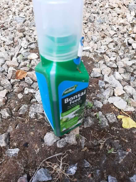 Photo of free Bonsai potting soil & liquid feed (Delgany) #2