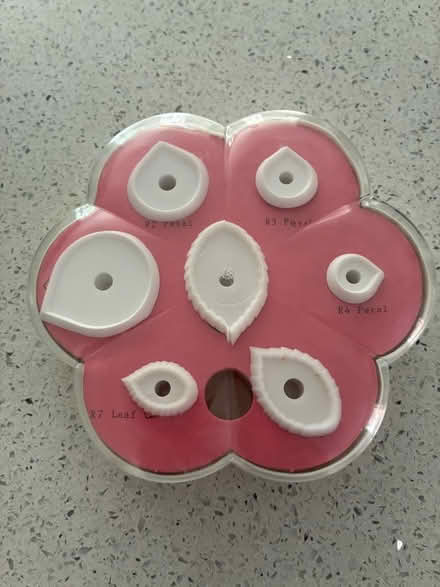 Photo of free Cake decoration - Petal & Leaf (Cranfield MK43) #1